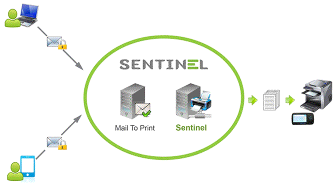 Sentinel-mail-to-print