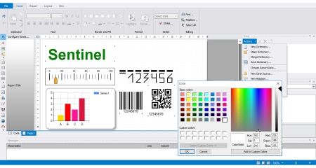 Sentinel Reports Designer